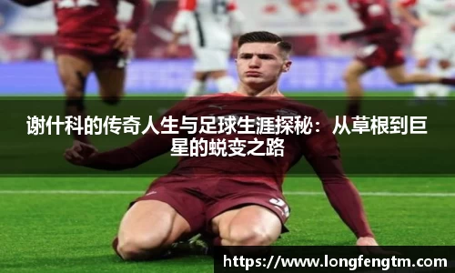 米兰app官网下载