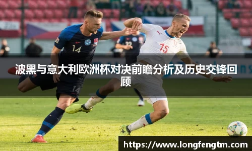 波黑与意大利欧洲杯对决前瞻分析及历史交锋回顾