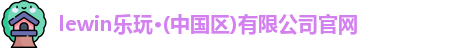 乐玩国际